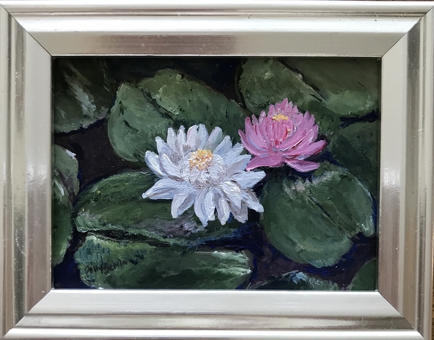 Waterlilies