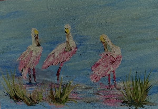 Spoonbill Trio