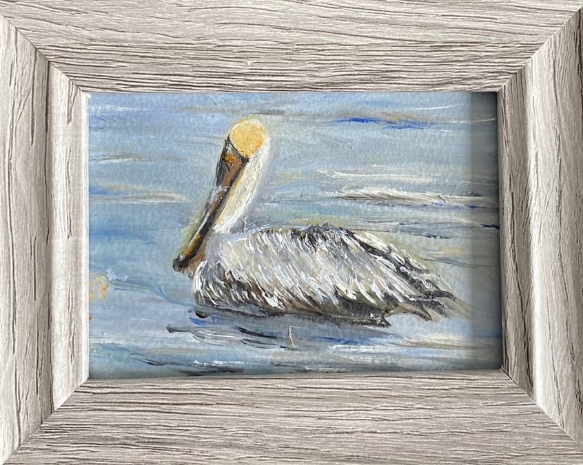 Brown Pelican #2