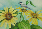 Chickadee - Watercolor