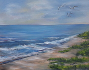 Honeymoon Island - North Beach