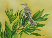 Mockingbird