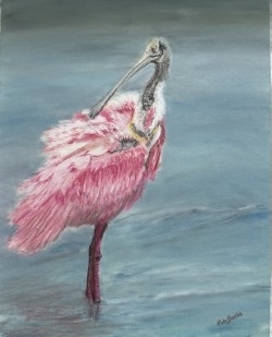 #2417 Roseate Spoonbill