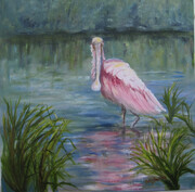 Roseate Spoonfield (Pink Curlew)